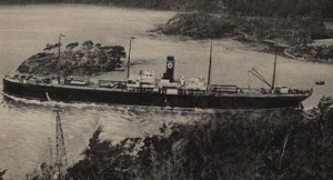 RPPC Cargo Ship Passing River Chile Scenic Maritime - Picture 1 of 3