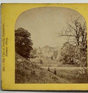 The Vale of Derwent Nighthland Furness Abbey - Una hermosa vista estéreo histórica - Imagen 1 de 4