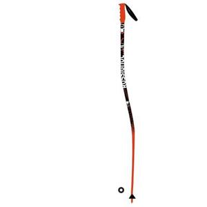 GS Ski Poles for sale | eBay