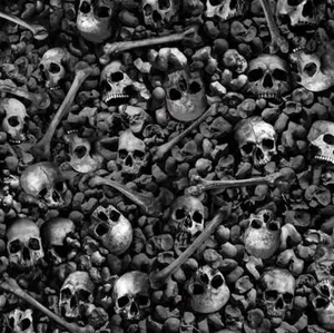 Timeless Treasures - Wicked - Skulls And Bones - Ash, Fabric BTY - Picture 1 of 4