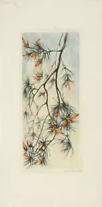 E. ZIPPERER FIRMADO De Colección c1955-60 Grabado RIEFERN IN BLÜTE, PINOS EN FLOR - Imagen 1 de 1