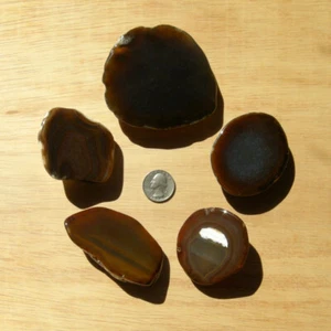 5 Mixed Agate Geode Slices Polished Brown Crystals Cut Rock Display Face 1LB Lot - Picture 1 of 5