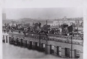 1955 New York Rooftop Gun Battle August Robles Standoff - Original Press Photo - Picture 1 of 2