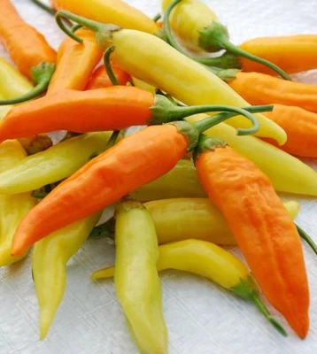 20 SEMILLAS DE PIMIENTO AJI HABANERO ~ 2026 ~ Hirloomseedguy ~ EE. UU. Foto 1 de 4