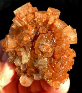 95,8g WOW! Natürliches orange blumiges Aragonit Kristall Cluster Exemplar ie4956 - Bild 1 von 14