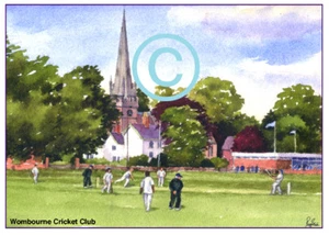 WOMBOURNE CRICKET CLUB STAFFS WATERCOLOUR ARTISTS PRINT ART CARD 8"x 6" - Picture 1 of 1