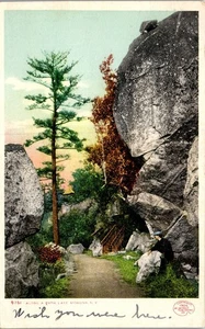 Postcard Postcard Lake Mohonk NY New Paltz  Detroit Pub Co Posted 1906  - Picture 1 of 3