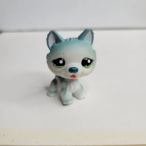 Littlest Pet Shop #1563 Husky Blue - Picture 1 of 5