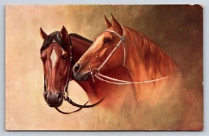 Postkarte Kunst Zwei Pferde Pferdekopf Portraits um 1910 #3AA29 - Bild 1 von 3