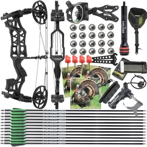 25" Compound Bow 40-70lb Dual-use Ball Arrow Target Archery Hunting Fishing R/LH - Picture 1 of 16