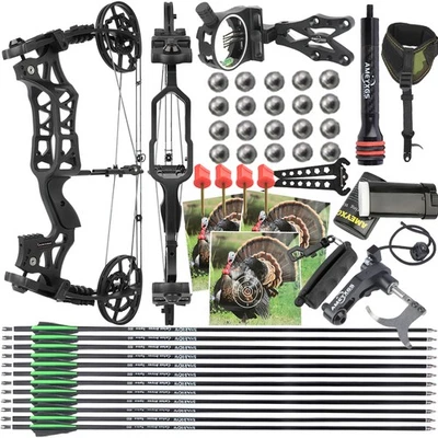 25" Compound Bow 40-70lb Dual-use Ball Arrow Target Archery Hunting Fishing R/LH - Image 1 of 4