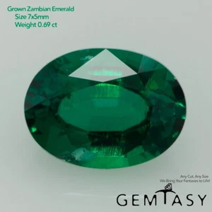 Cut stone - Emerald Zambian hydrothermal lab grown, Oval 7x5mm 0.69-0.84ct - Picture 1 of 4