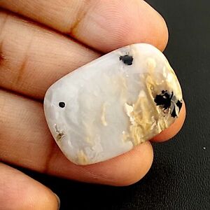 Natural Tiger Dendrite Agate Cabochon Cushion Shape 35 Cts Gemstone For Jewelry