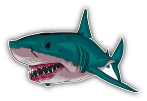 Aggressive Shark Car Bumper Sticker Decal - Picture 1 of 1