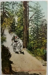 Staging in Yosemite Valley Postcard 1910 Edward Mitchell Card Making Pic E1B - Picture 1 of 2