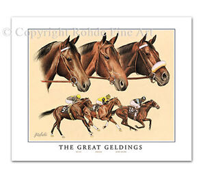 KELSO FOREGO JOHN HENRY - Great Geldings - Thoroughbred Horse Racing ART PRINT