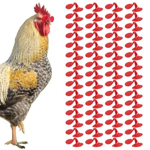 60 Pieces Pinless Chicken Hen Rooster Anti-Pecking Eyes Glasses Bolt  - Picture 1 of 10