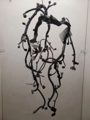 Lexus IS250 SDN, arnés de cables del motor, 2014-16, 2,5 L, V6, tracción trasera, 4grfse, 82121-53481 Foto 1 de 4