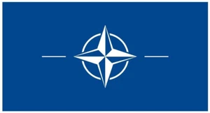 Nato International Flag Sticker Decal F331 - Picture 1 of 1