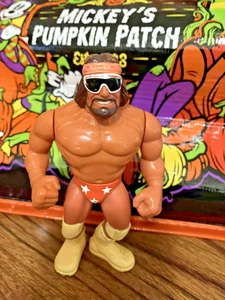 Hasbro WWF 1990 Macho Man Randy Savage Hasbro Serie 1 WWE - Foto 1 di 6
