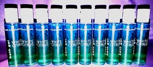 LOTE de 10 Gel de Baño Bath & Body Works BLANCO CITRUS Tamaño de Viaje NUEVO - Imagen 1 de 2