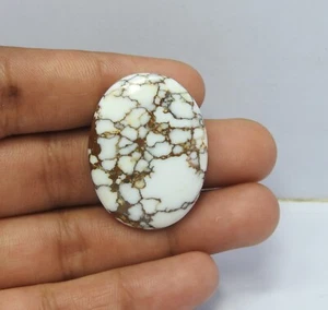 Cabinas de jaspe magnesita ovaladas de piedras preciosas de caballo salvaje natural de 48,00 quilates 25x33x5 mm - Imagen 1 de 7