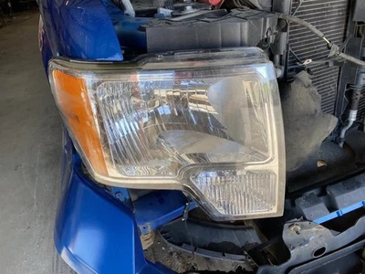 Пассажирская галогенная фара King Ranch подходит для пикапа 09–14 FORD F150 1906252 - Изображение 1 из 4