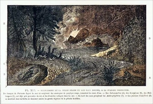 GEOLOGIE - PFLANZEN und TIERE des PERM: Asterophyllit, Salamander, Skorpion.. - Bild 1 von 3