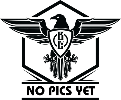 Zero Tolerance ZT0308 Flipper 20cv steel FolderZT 0308 D-fade Flomascus Ano New - Image 1 of 2