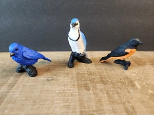 Menge 3 Safari Vögel Miniatur Diorama Blue Jay Oriole Indigo Wimpelkette - Bild 1 von 17