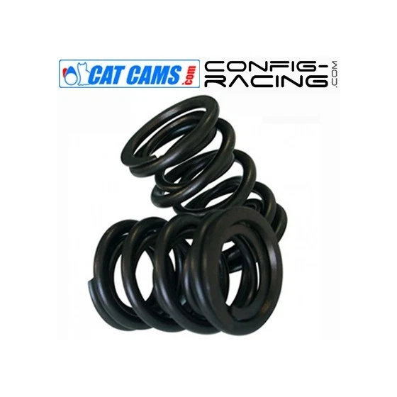 Kit de Ressorts de soupapes Double Cat cams Renault Clio Williams - Gold - Photo 1/1