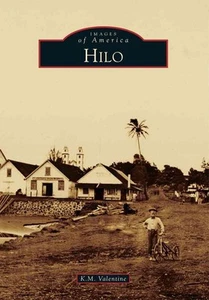 Hilo von K.M. Valentine (Englisch) Taschenbuch - Bild 1 von 1