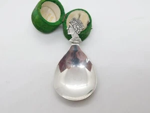 Elizabeth II Sterling Silver Silver Jubilee Tea Caddy Spoon Vintage 1977 - Picture 1 of 5