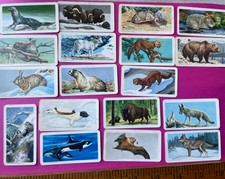 15 Brooke Bond Red Rose Tea Collector Cards animals N. America 1960 ephemera J