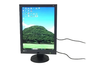 EIZO RadiForce RX340 21,3" medizinischer Monitor 2365H elektronische Karte getestet funktioniert - Bild 1 von 8