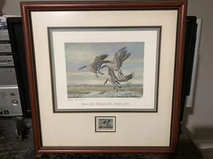 1979 Missouri First of State Duck Stamp Print Framed W/ Stamp Charles Schwartz - Picture 1 of 2