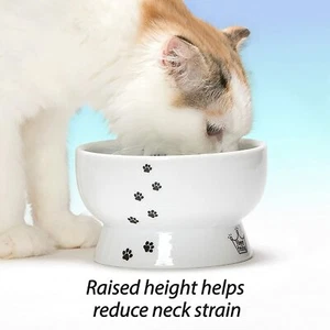 Necoichi - Raised Cat Water Bowl - Picture 1 of 8