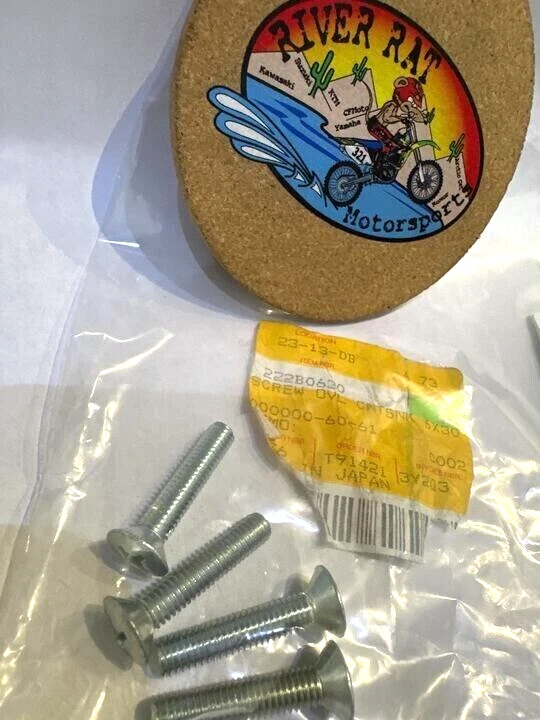 TORNILLO CUBIERTA MOTOR KAWASAKI ROADRUNNER C2TR C2SS 222B0630 VINTAGE OEM Foto 1 de 1