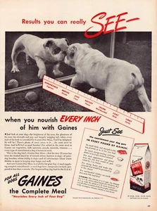 Print Ad Bulldog Gaines Dog Food 1945 Full Page Large Magazine 10.5"x13.5" - Picture 1 of 1