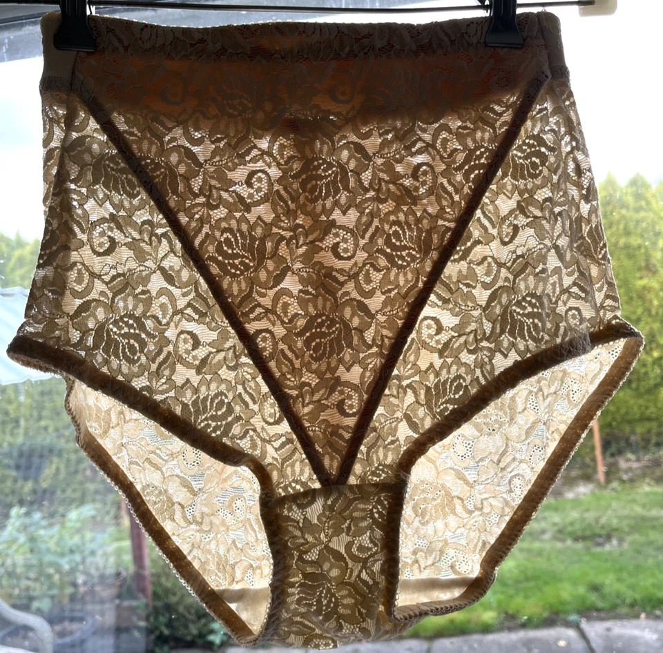 DKNY Lace Panties Shapewear 35611 Ivory/Beige Tummy Panel Panty Girdle NWOT - Image 1 of 3