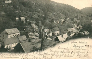 Ak*  Krippen -Sächs.Schweiz  (AB)20884 - Bild 1 von 2