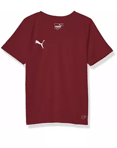 NWT Puma Liga Core VNeck Short Sleeve Soccer Jersey Size Large Lg Boys 703542-09 - Picture 1 of 4