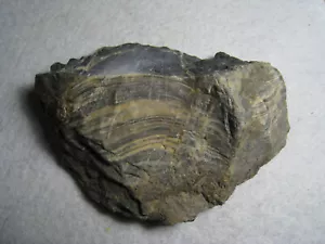 Sehr ungewöhnlicher Rhyolith Jaspisstein antike Handklinge Axt Kansas River 309 Gramm - Bild 1 von 24