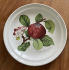 Portmeirion Pomona Dinner Plate - The Hoary Morning Apple - Excellent Condition