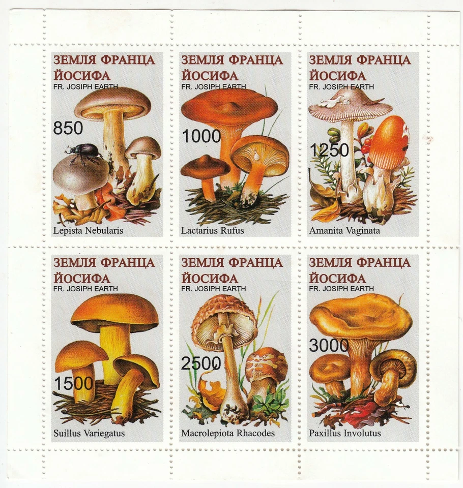 Franz Josef Land; Mushrooms, Sheetlet Of 6 x Vals To 3000, MNH, Fungi - Image 1 of 1