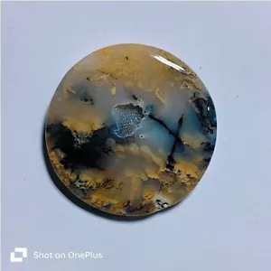 Dendrita de tigre cabujón dendrita natural piedras preciosas sueltas joyería 74 quilates ME-9633 - Imagen 1 de 4