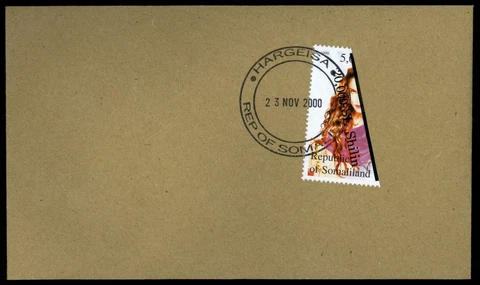 Somaliland 2001 Madonna, Surch Bisect Cover #62038 Cover