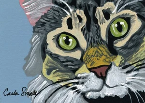 ACEO Original Painting Gray Tabby Cat Pet Portrait Art-C. Smale - Picture 1 of 2