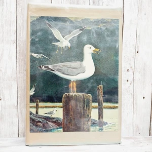 Das Geheimnis der Möwen von Phyllis A. Whitney 1949 HC mit Bildband RAR - Bild 1 von 11