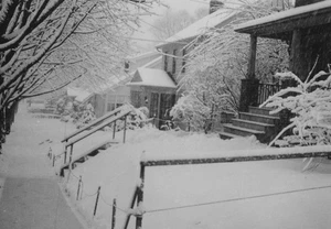 1950s Snowy Street Houses Neighborhood Winter Tree Branches Covered Picturesque - Picture 1 of 3